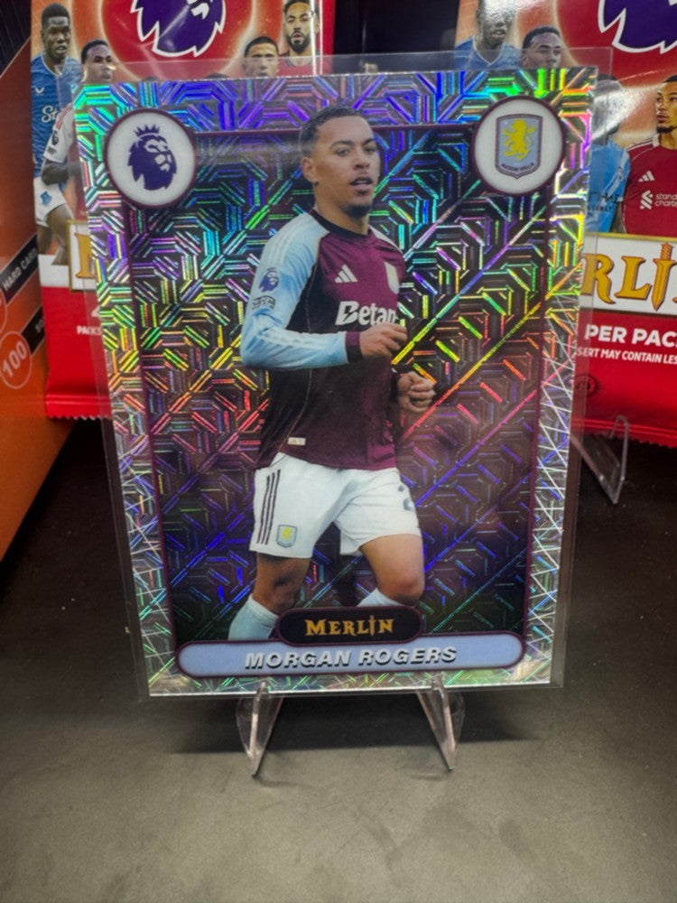 Zoom