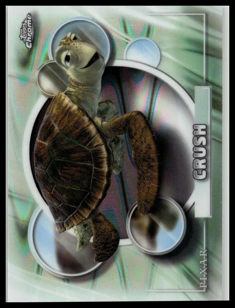 Zoom