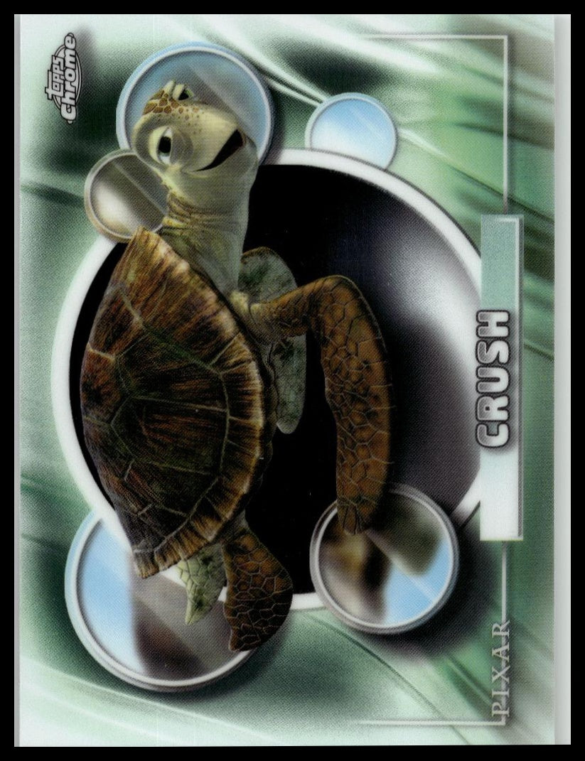 Zoom