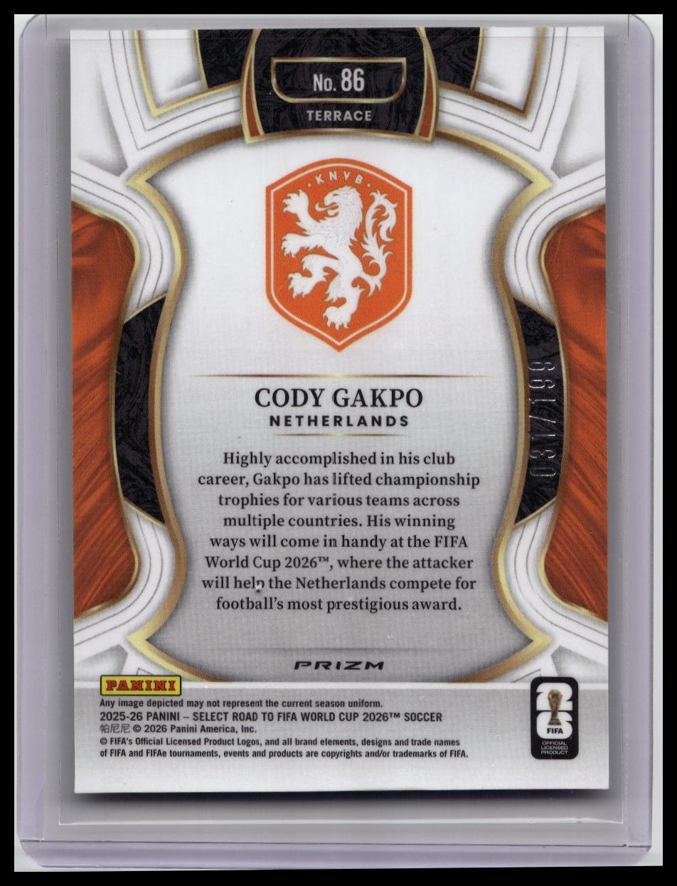 Zoom