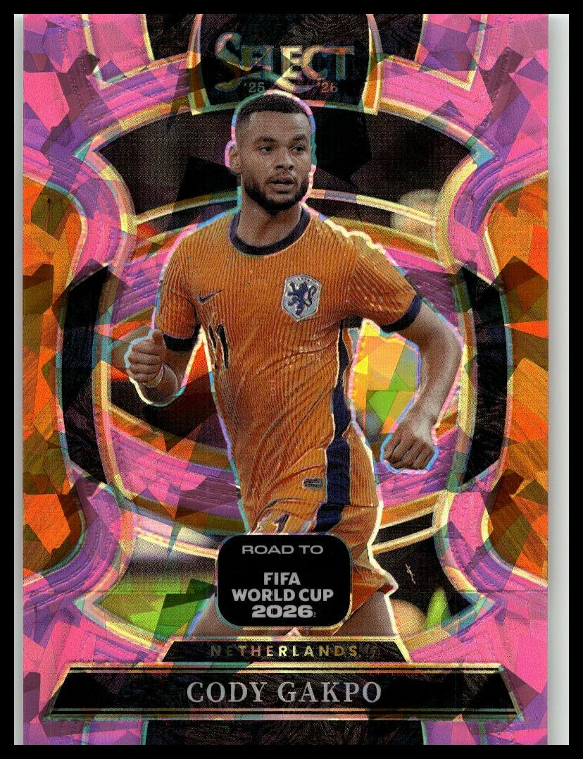 Zoom