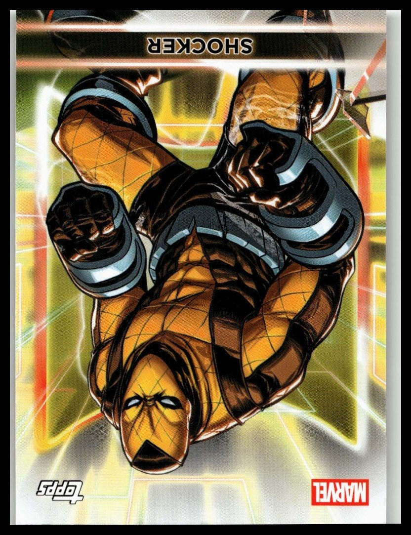 Zoom