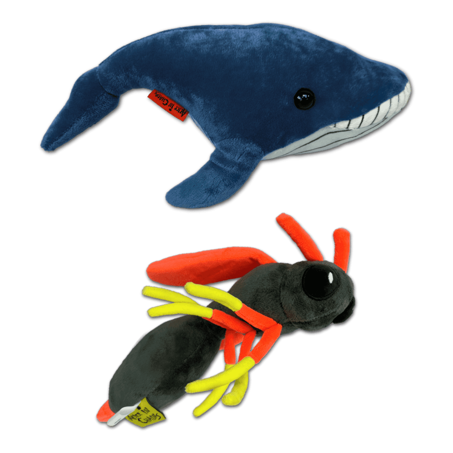 Alice in Chains Custom Whale & Wasp Collectible Plushie Set