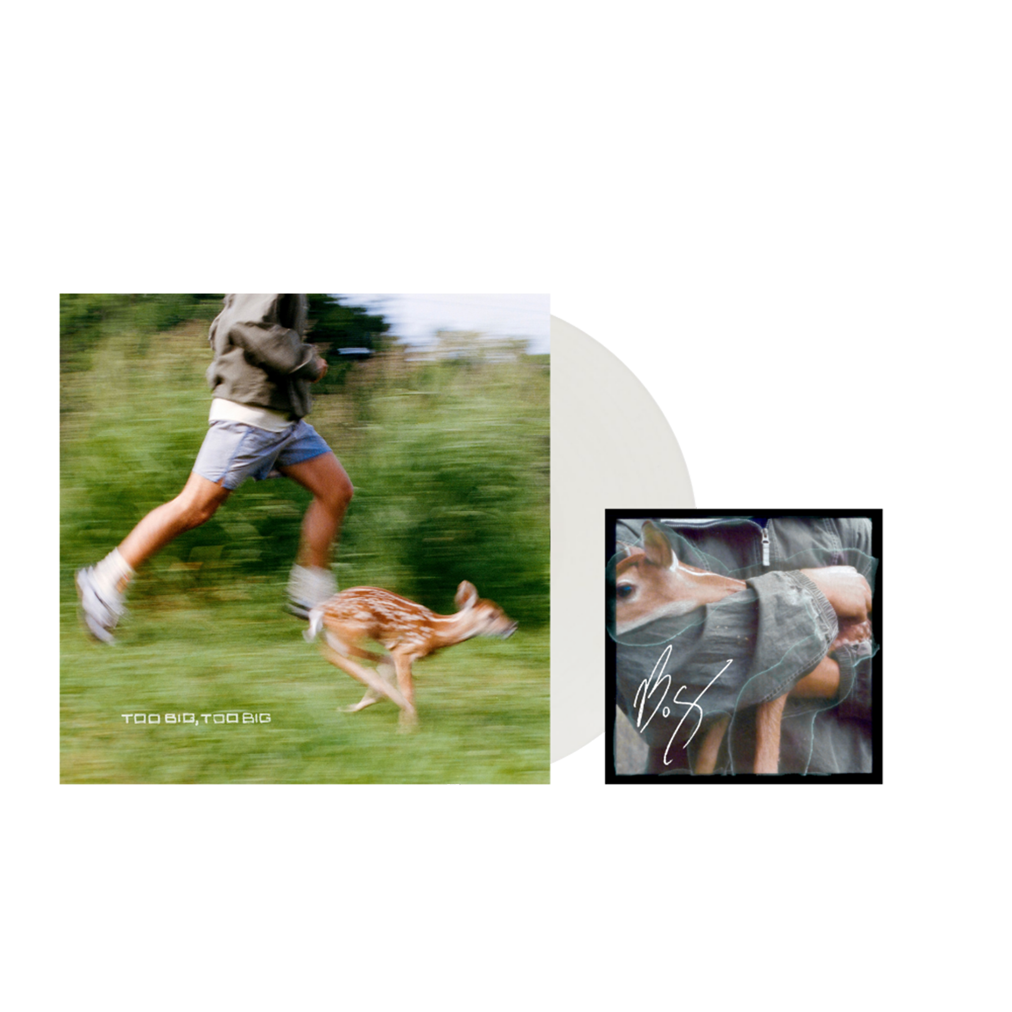 Zoom