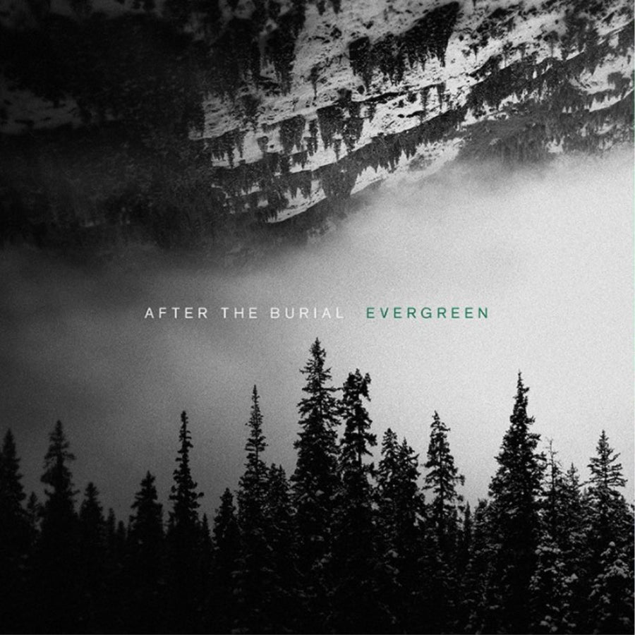 After The Burial - Evergreen Exclusive Limited Mint Green/Black Galaxy Color Vinyl LP