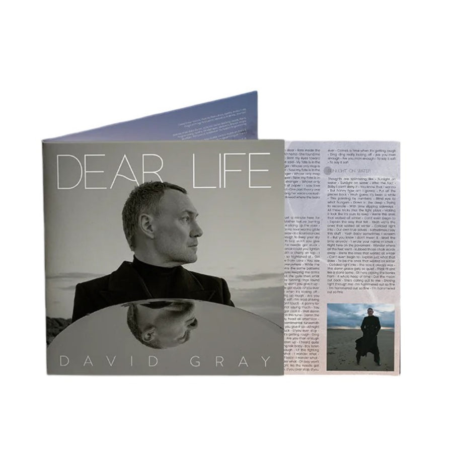 David Gray - Dear Life Exclusive Limited Olive Green Color Vinyl 2x LP