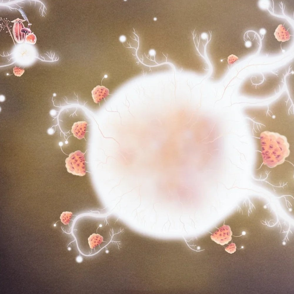 DVA - Botanicula Original Game Soundtrack Exclusive Green Marble LP ...