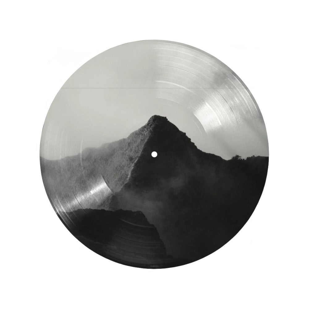 Shawn Mendes - Shawn Exclusive Picture Disc Vinyl LP – Vinceron