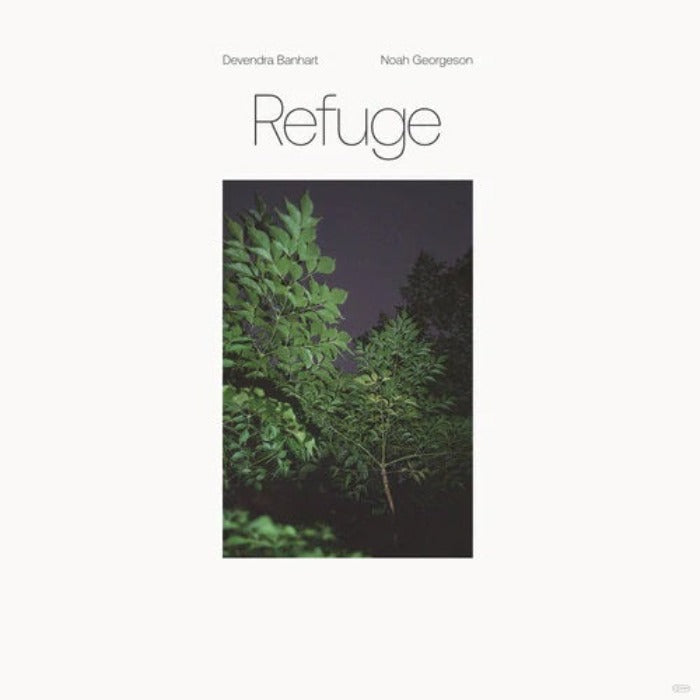 devendra-banhart-noah-georgeson-refuge-limited-edition-translucent-blue-seaglass-wave-vinyl-lp-record