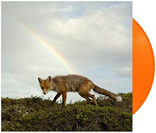 Buck Meek - Exclusive Limited Edition Fox Orange Vinyl LP (#/500) [Vinyl] Buck Meek